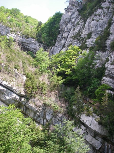 lesecougesjuin2010001.jpg