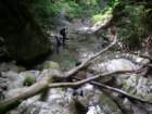lesecougesjuin2010067_small.jpg